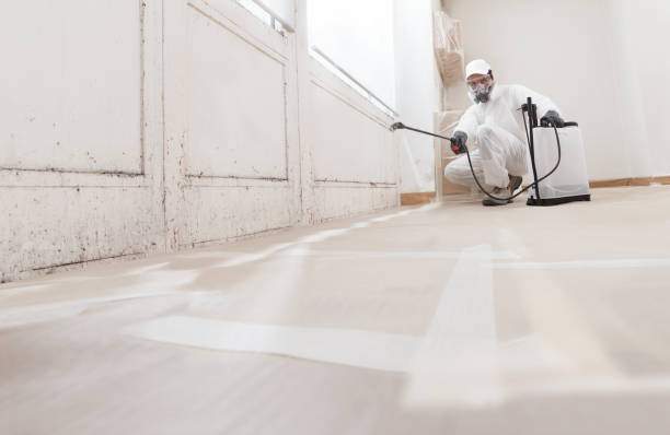 24/7 Emergency Commercial Mold Remediation experts in Richland, WA