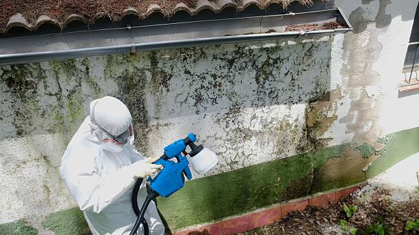 Top rated local Commercial Mold Remediation specialists in Richland, WA